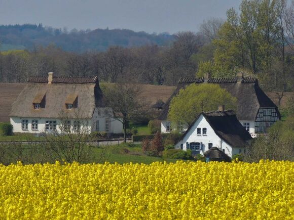 Naturgrundstück Hofanlage Hansen-Flüh - Brodersby/Missunde